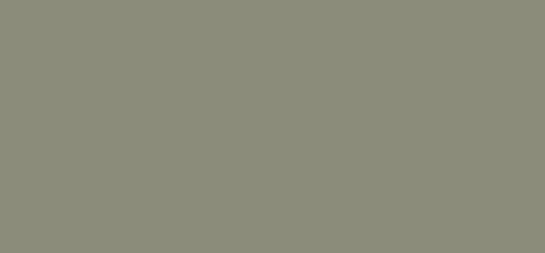 pastille-waalack-90011-gris-pierre-7030