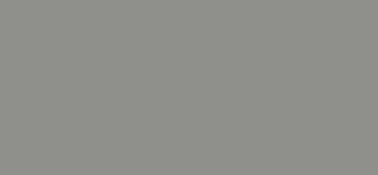 pastille-waalack-90015-gris-aluminium-9007